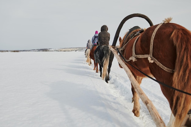 riding horse chart with peoples winter scenic landscape