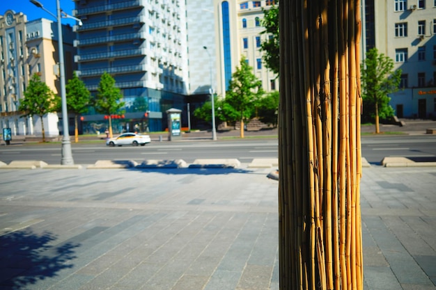 Right aligned fake bamboo in city backdrop