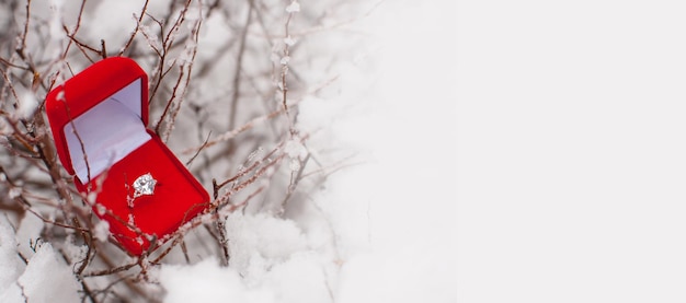 A ring with a large gemstone in a box on branches in the snow with a place for text in the form of a banner