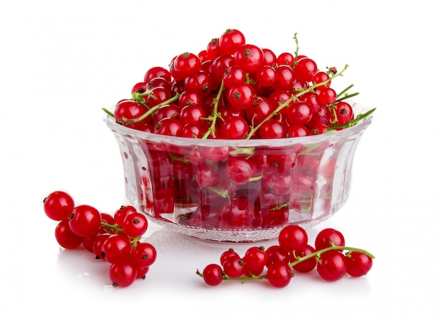 Rip red currant fruits isolated on white 