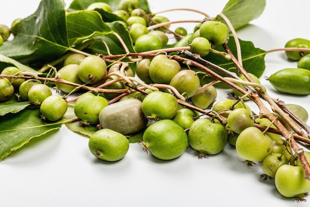 Ripe Actinidia arguta or kiwi isolated on white background. Branches of fresh fruits with green leaves, mockup, template