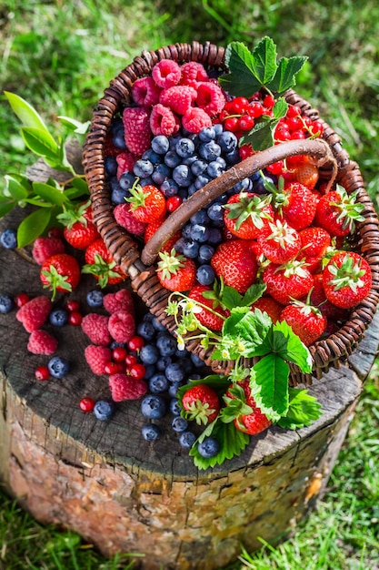 Ripe berries in garden