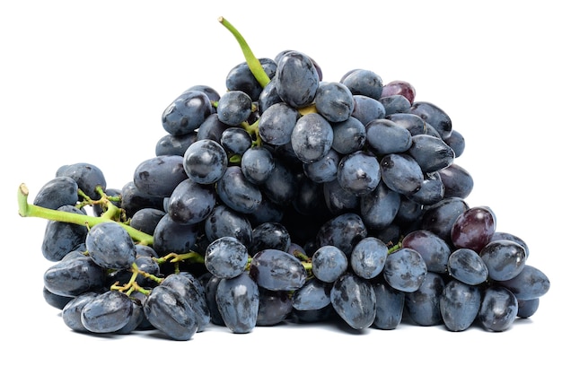 Ripe blue grapes on a white isolated background wine grapes