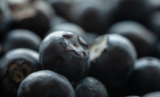 Ripe blueberries close up