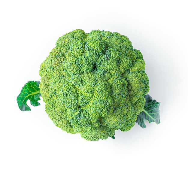 Ripe broccoli is isolated on a white background