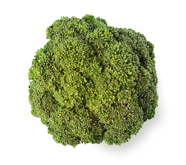 ripe broccoli tree with green leaves isolated. Closeup of fresh organic vegetable food, diet concept