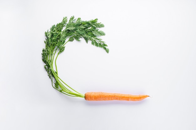 Ripe carrot with leaves isolated