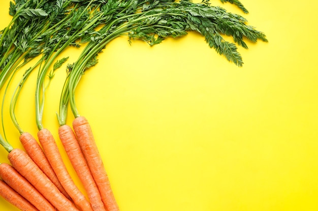 Ripe carrots with leaves isolated