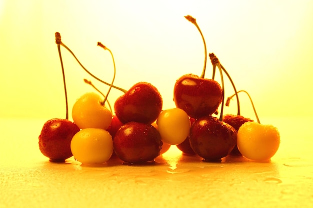 Ripe cherry on a light background. Juicy cherries with water drops on berries close-up