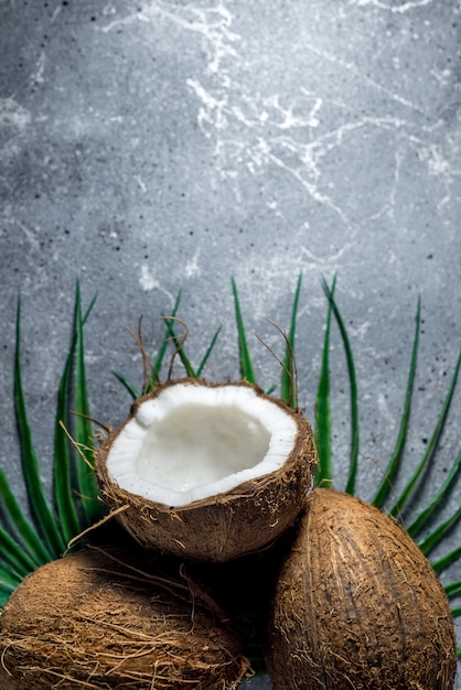 ripe chopped coconut on a gray stone background. place for your text