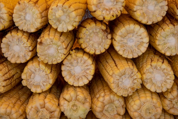 Ripe corn cobs in the open air market.