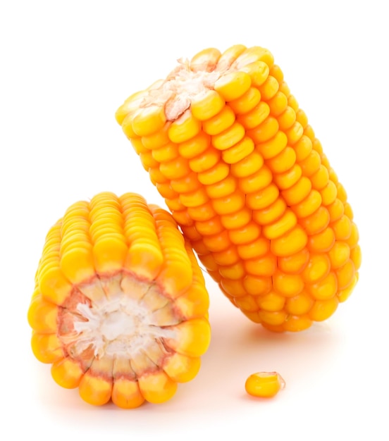 Ripe corn isolated