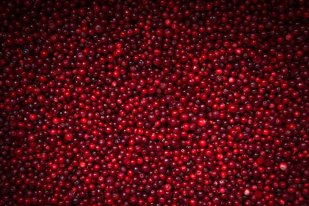 Ripe cranberries on background with vignette