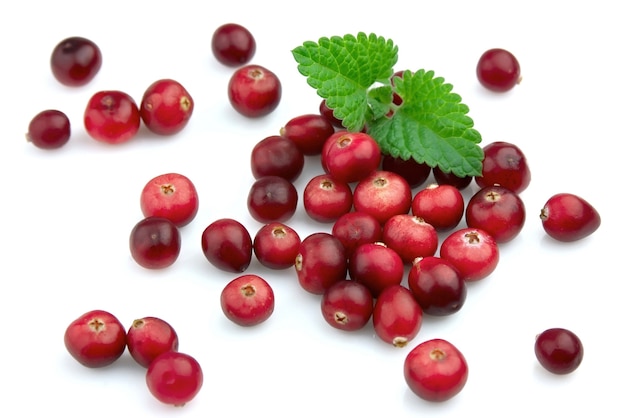 Ripe cranberry with a mint on a white background