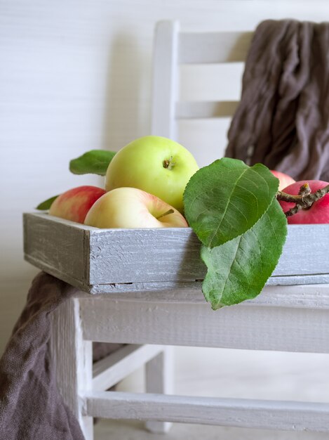 ripe, fragrant red-green apples in a wooden gray box on a white chair