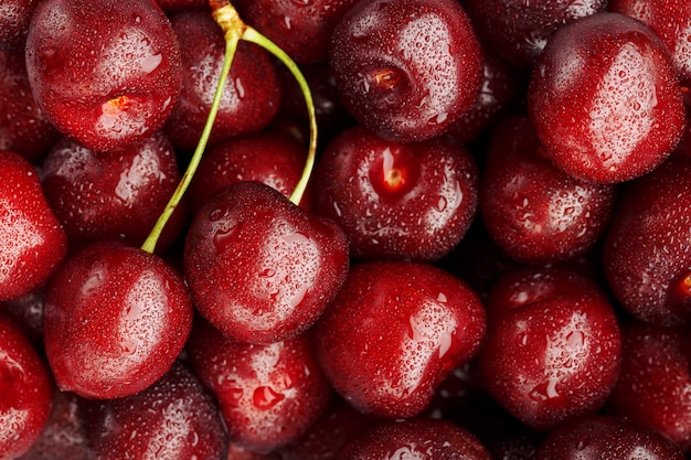 Ripe and fresh berries of a sweet cherry with water drops closeup.