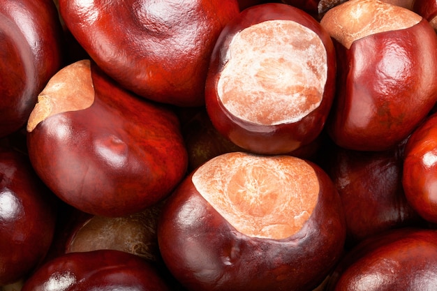 Ripe fresh brown chestnuts closeup