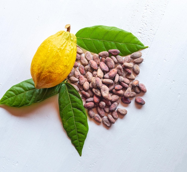 Ripe fresh cocoa pods and dry brown cocoa beans with green cacao leaf on white wooden background