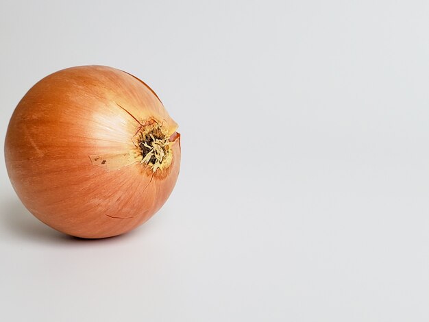 Ripe fresh onion vegetable on a white wall