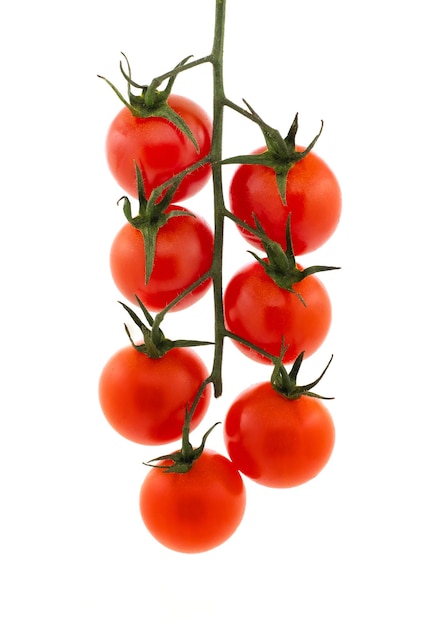 Ripe fresh red cherry tomatoes on branch on a white isolated background Full depth of field