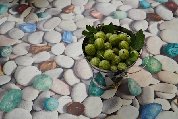 Ripe gooseberries in a decorative bucket and on the table Gooseberries fall out of the bucket