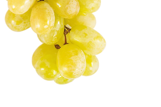 Ripe grapes are placed on a white background Bunch of grapes isolate