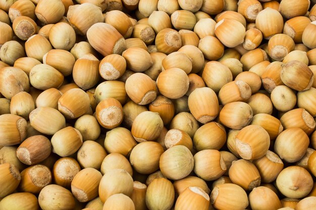 ripe hazelnuts in a peel on a white