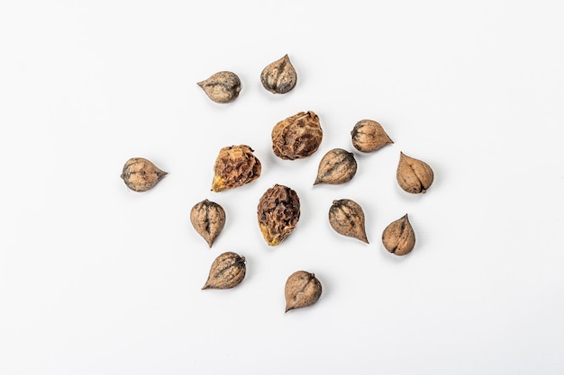 Photo ripe juglans cordiformis maxim or heart-shaped walnut isolated on white background. young green and unpeeled whole nuts, flat lay, mockup, template