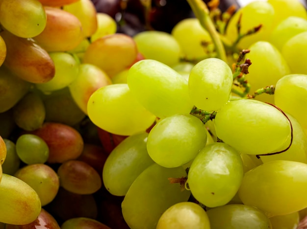 Ripe juicy grapes. different grape varieties. Bunch of grapes background