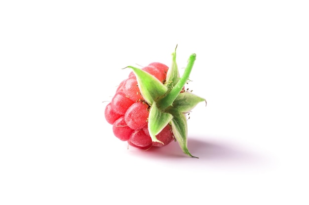 Ripe juicy raspberry isolated on white background