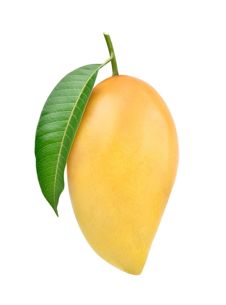 Ripe mango with green leaf isolated on white