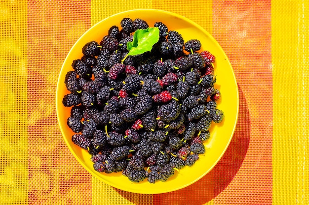 Ripe mulberry berries in a cup on a bright surface Harvesting berries