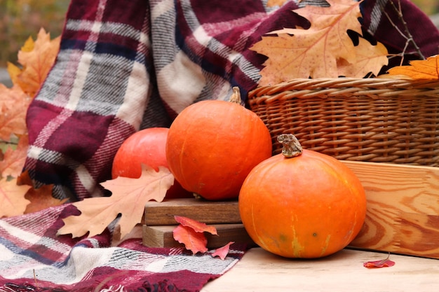 Ripe orange pumpkins harvesting. Still life of pumpkins, baskets, plaid and autumn leaves