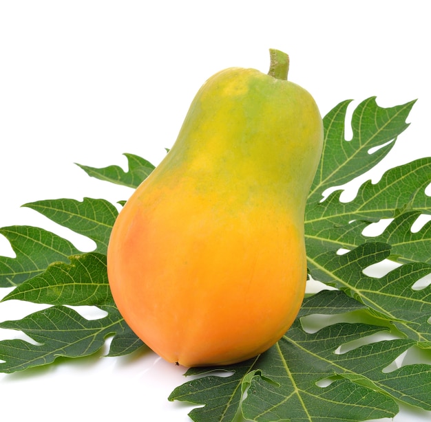 Ripe papaya fruit on white