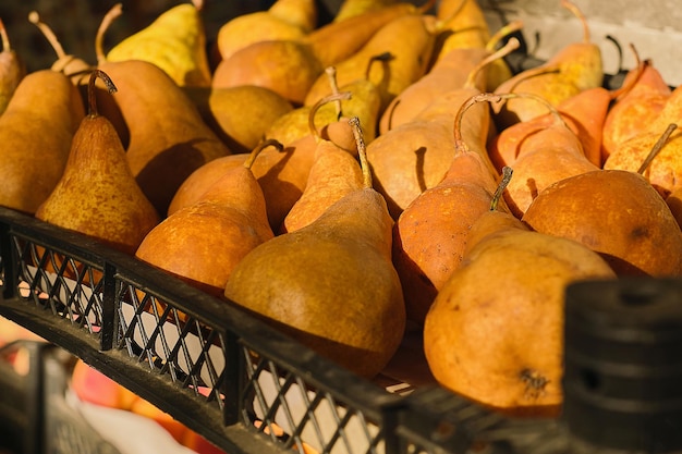 Ripe pears in a basket at a farmers market selective background Fresh seasonal eco products health care Background for advertising