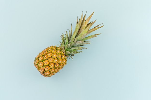 Ripe pineapple on blue background in minimalism style