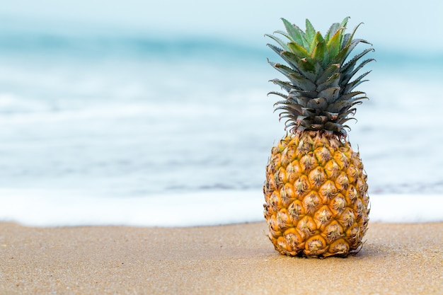 Ripe pineapple on the golden sand near the ocean