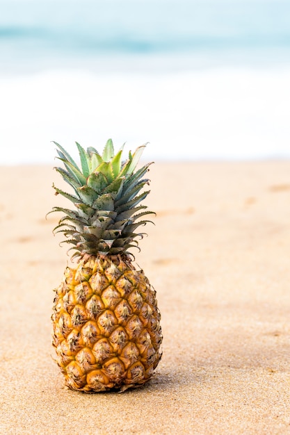 Ripe pineapple near the ocean