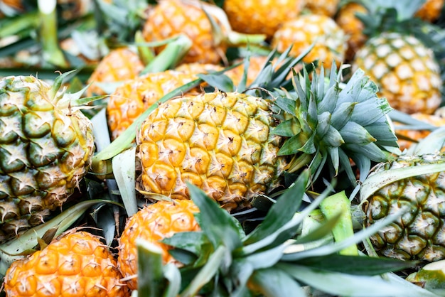 Ripe pineapple sell on fruit market 