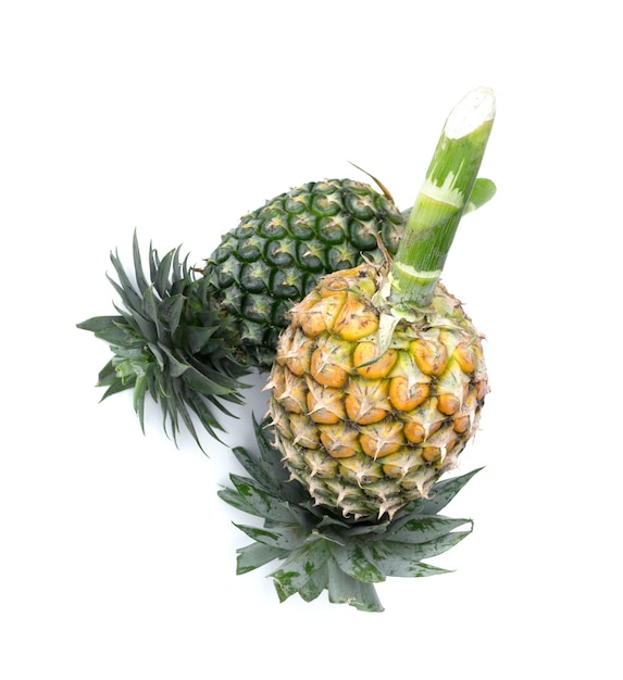 Ripe pineapple on white background. healthy pineapple fruit food isolated