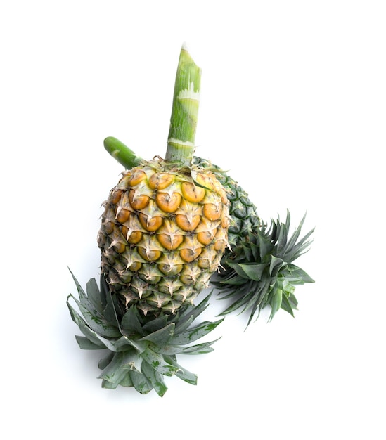 Ripe pineapple on white background. healthy pineapple fruit food isolated