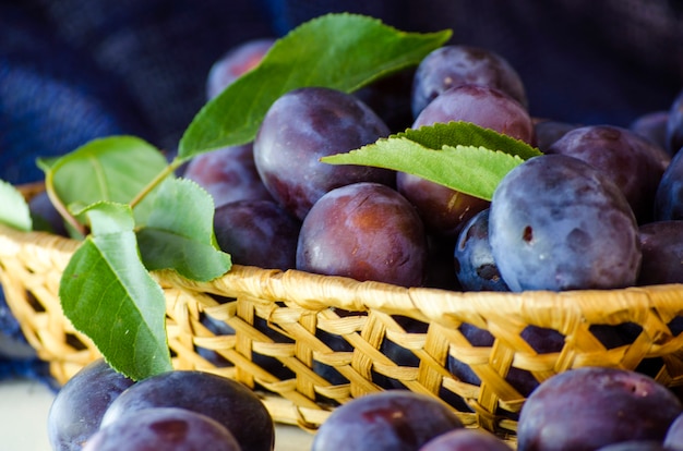 Ripe plum fruit in a wicker basket on a table