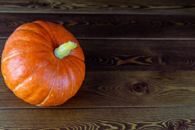 Ripe pumpkin on dark wooden background with space for text