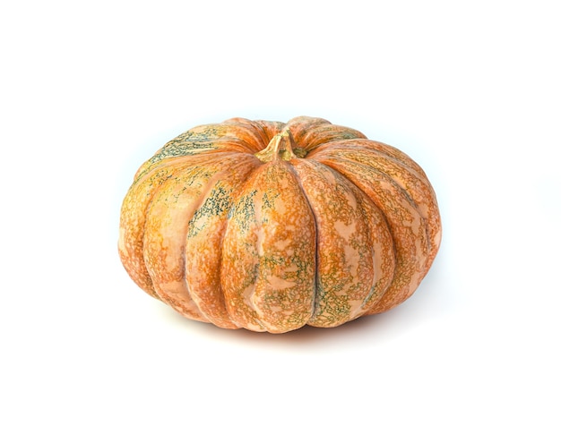 Ripe pumpkin isolated on a white background. Side view.