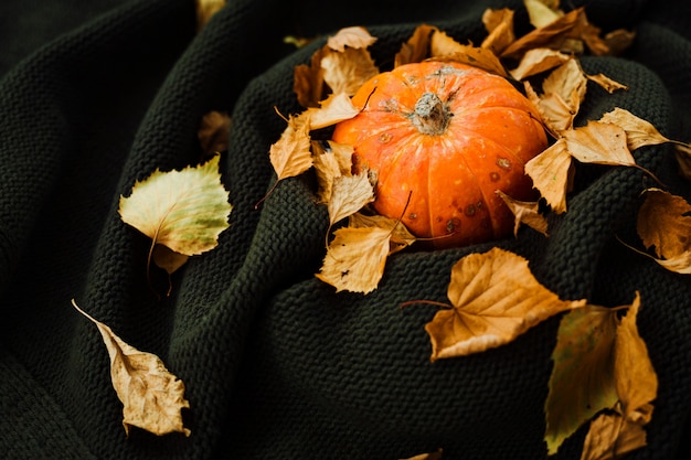 Photo ripe pumpkin on a knitted dark green blanket strewn with fallen autumn leaves