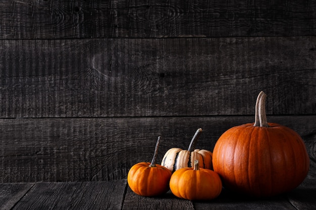 Ripe pumpkins on wooden background