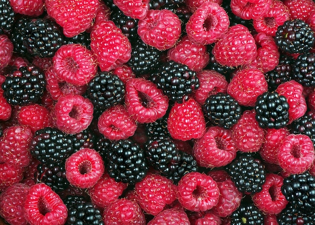 ripe raspberries and blackberries texture