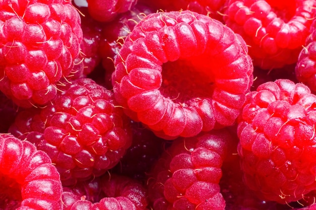 Ripe raspberries macro shot Fruit backgroundSelective focus