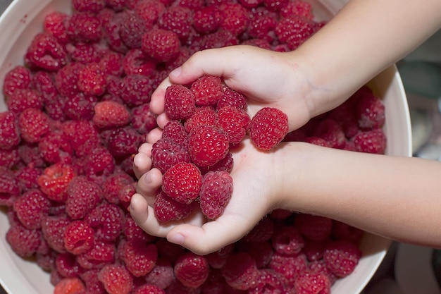 Ripe raspberries on the palm of your hand Healthy food Vitamins summer