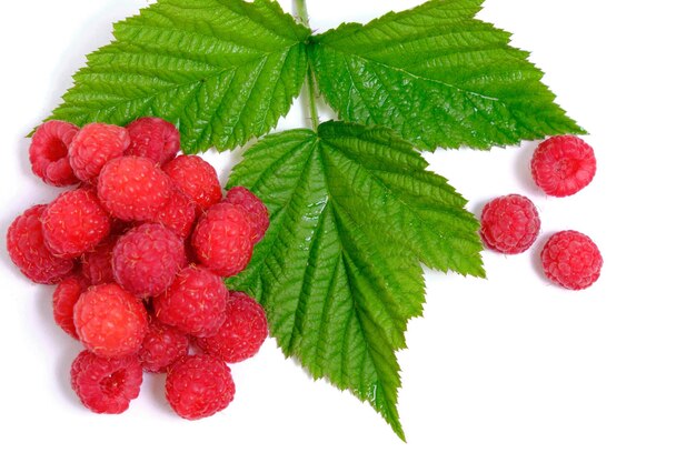 Ripe raspberry berry on a white background with a green leaf.